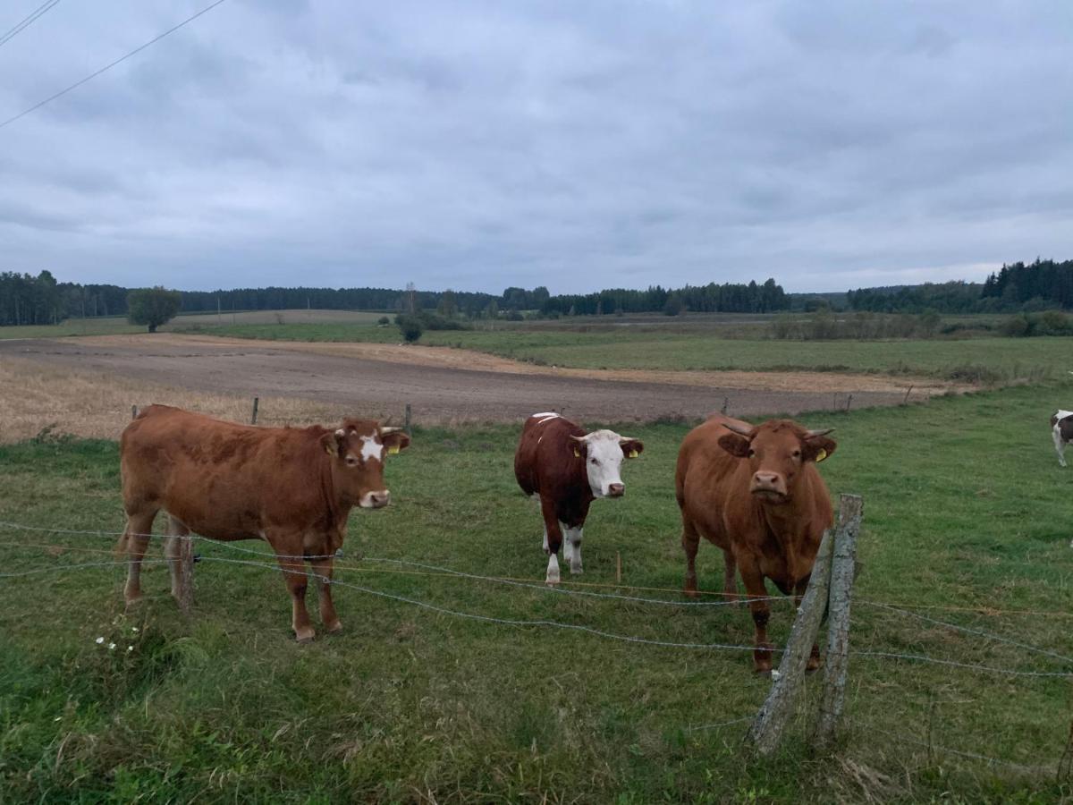 Gizycko-Przerwanki Domki Widok Na Mazury Екстер'єр фото