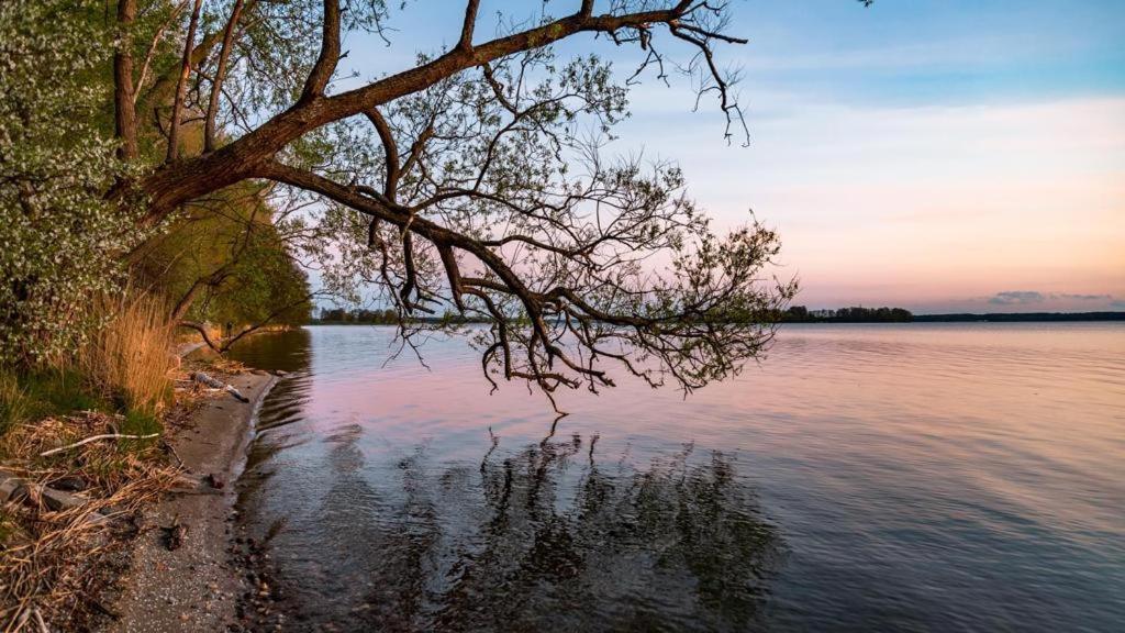 Gizycko-Przerwanki Domki Widok Na Mazury Екстер'єр фото