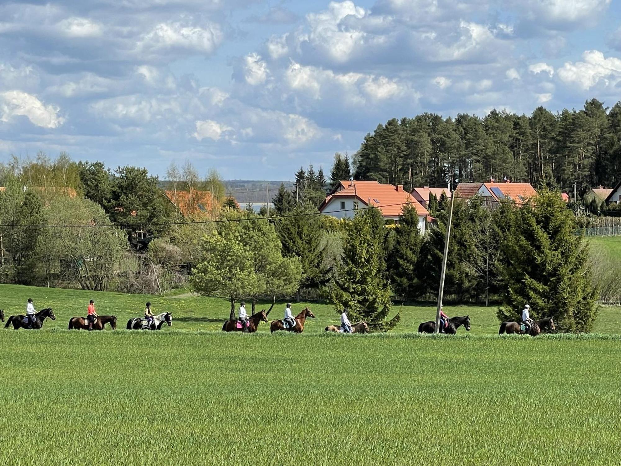 Gizycko-Przerwanki Domki Widok Na Mazury Екстер'єр фото