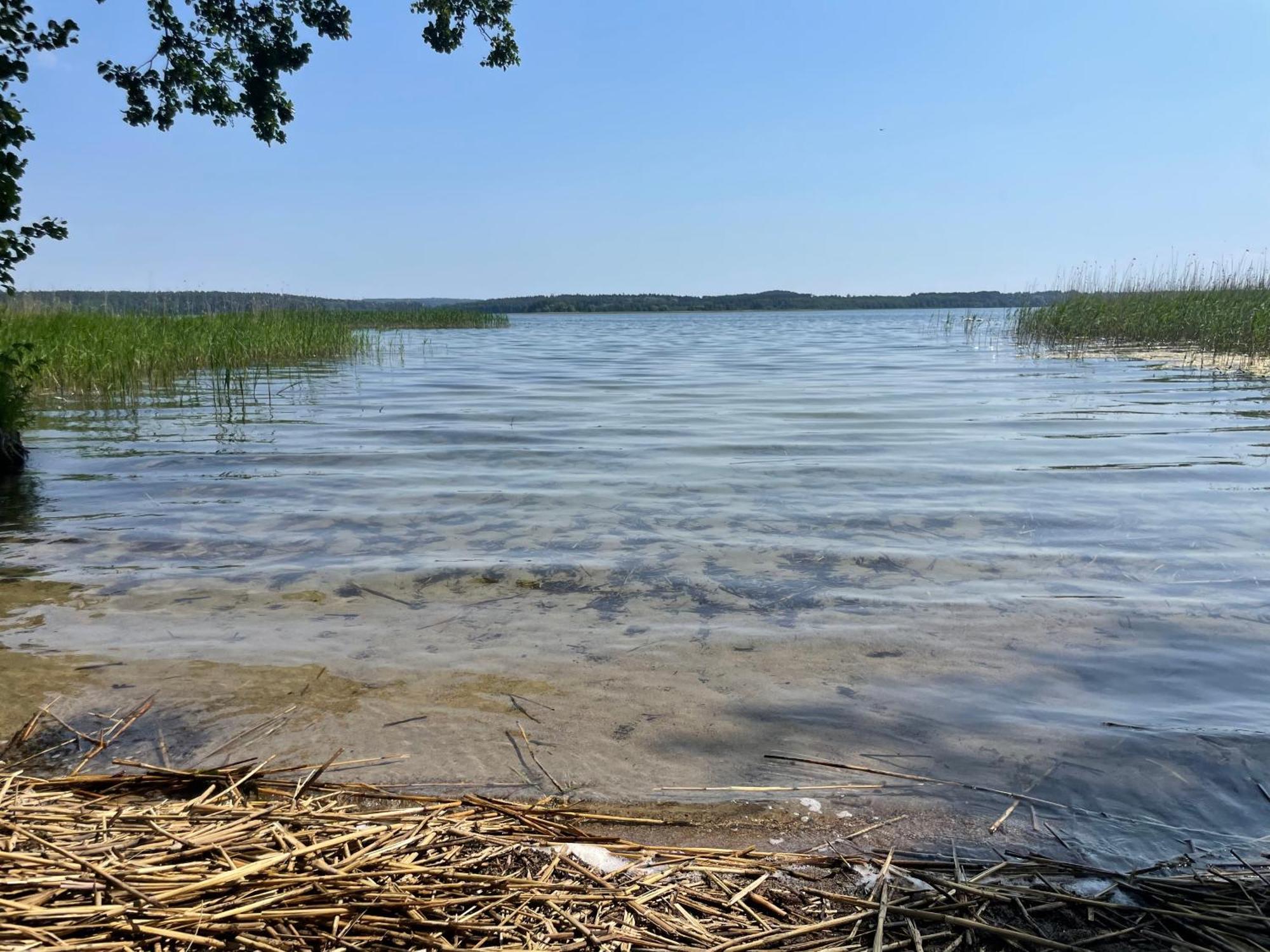Gizycko-Przerwanki Domki Widok Na Mazury Екстер'єр фото