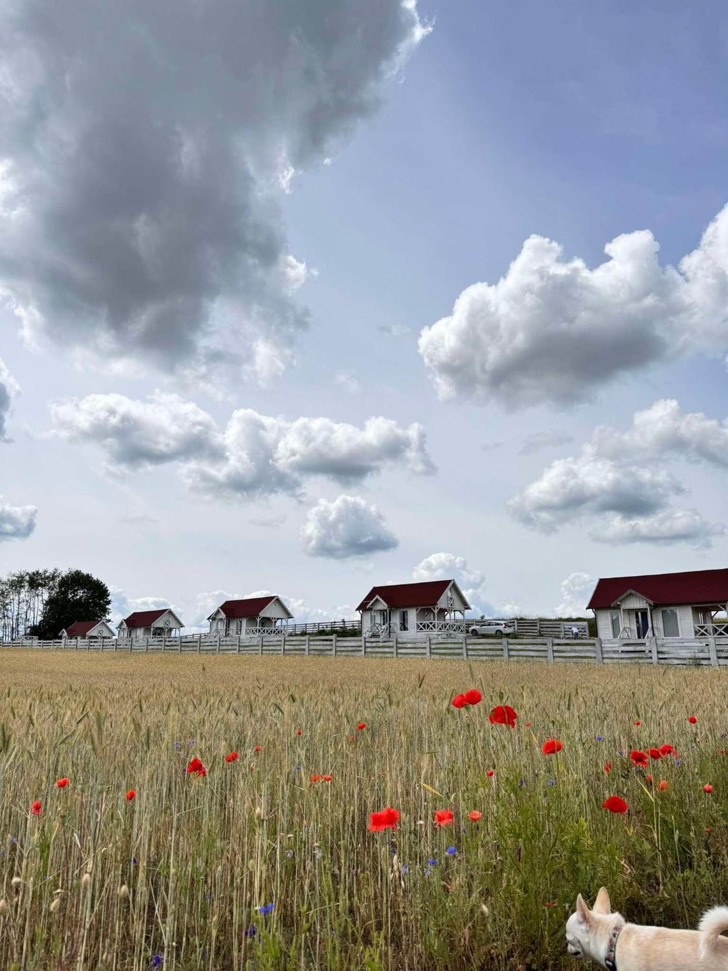 Gizycko-Przerwanki Domki Widok Na Mazury Екстер'єр фото